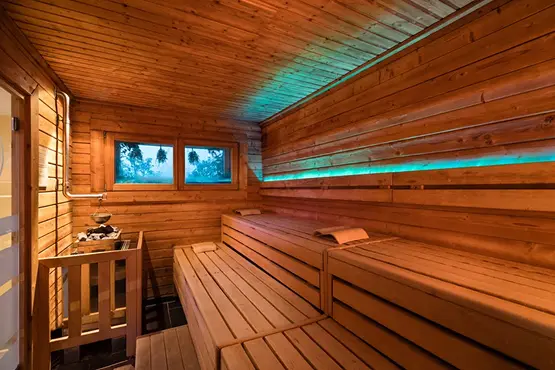 Sauna wellness